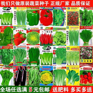 【開群福利】蔬菜種子四季播盆栽陽臺菜種子